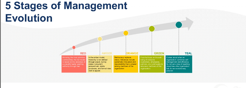 Understanding Organizational Development Through Laloux’s Stages: A Journey to Progress and Purpose