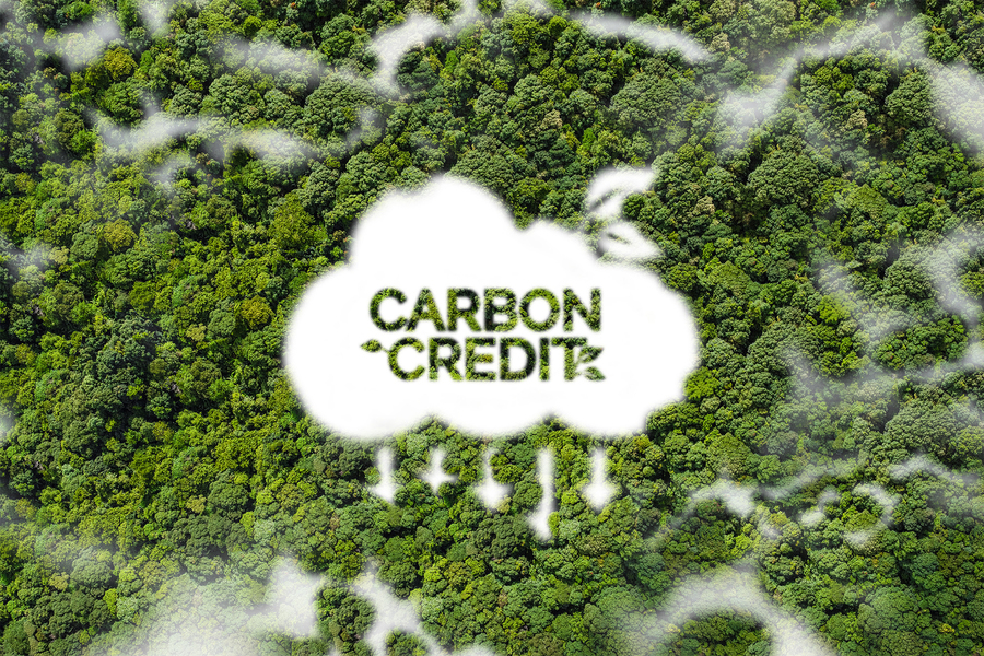 Understanding Carbon Credits: A Comprehensive Guide by Dawgen Global