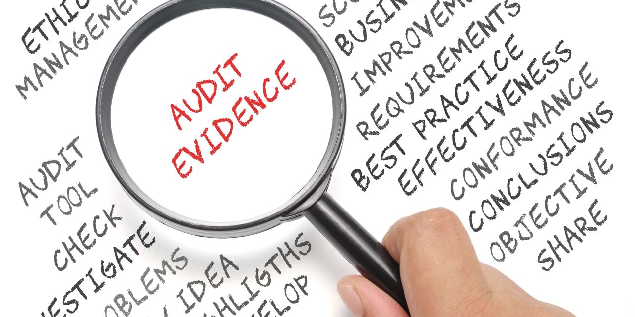 The Management Representation Letter to an Auditor: Purpose, Requirement, and Reliability