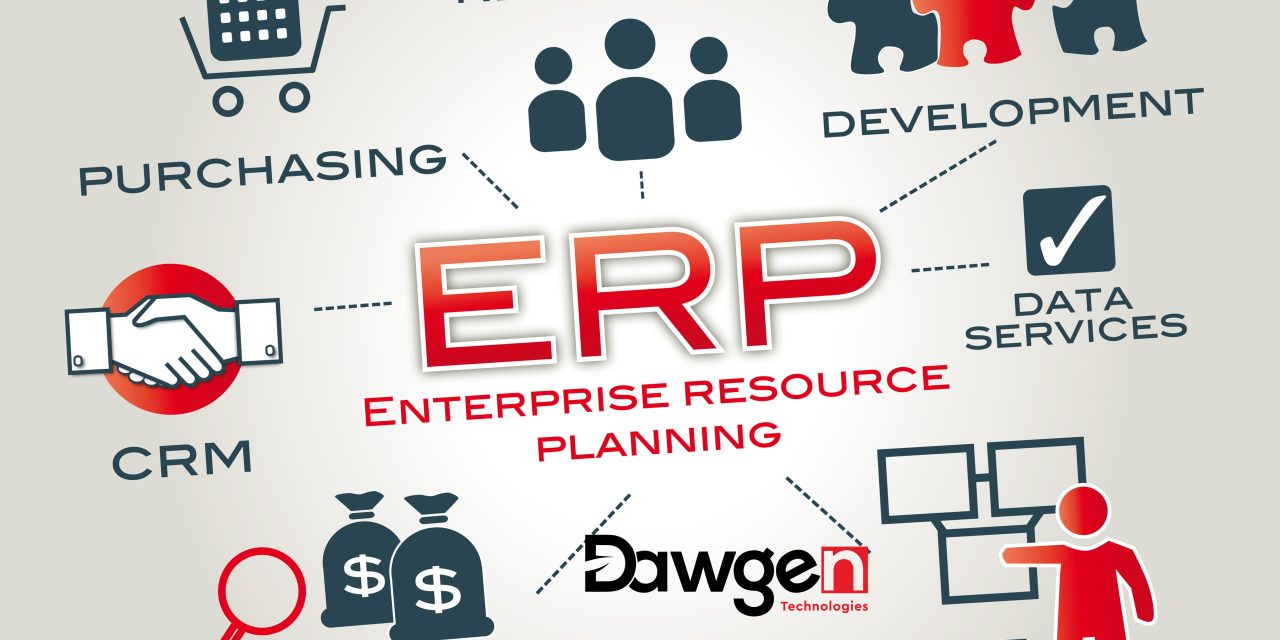 Navigating the World of ERP Systems: Tailoring Solutions to Business Needs