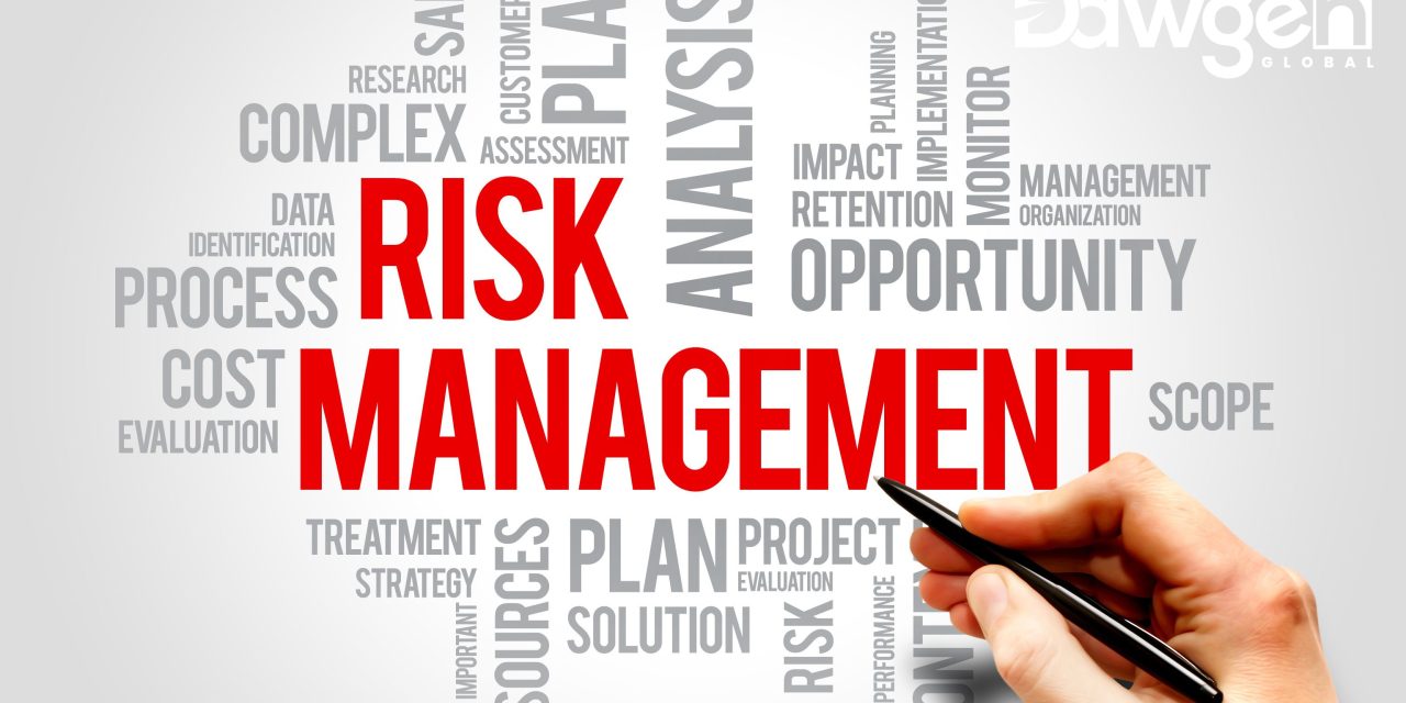 Fortifying Businesses: Dawgen Global’s Comprehensive Approach to Risk Management Strategy