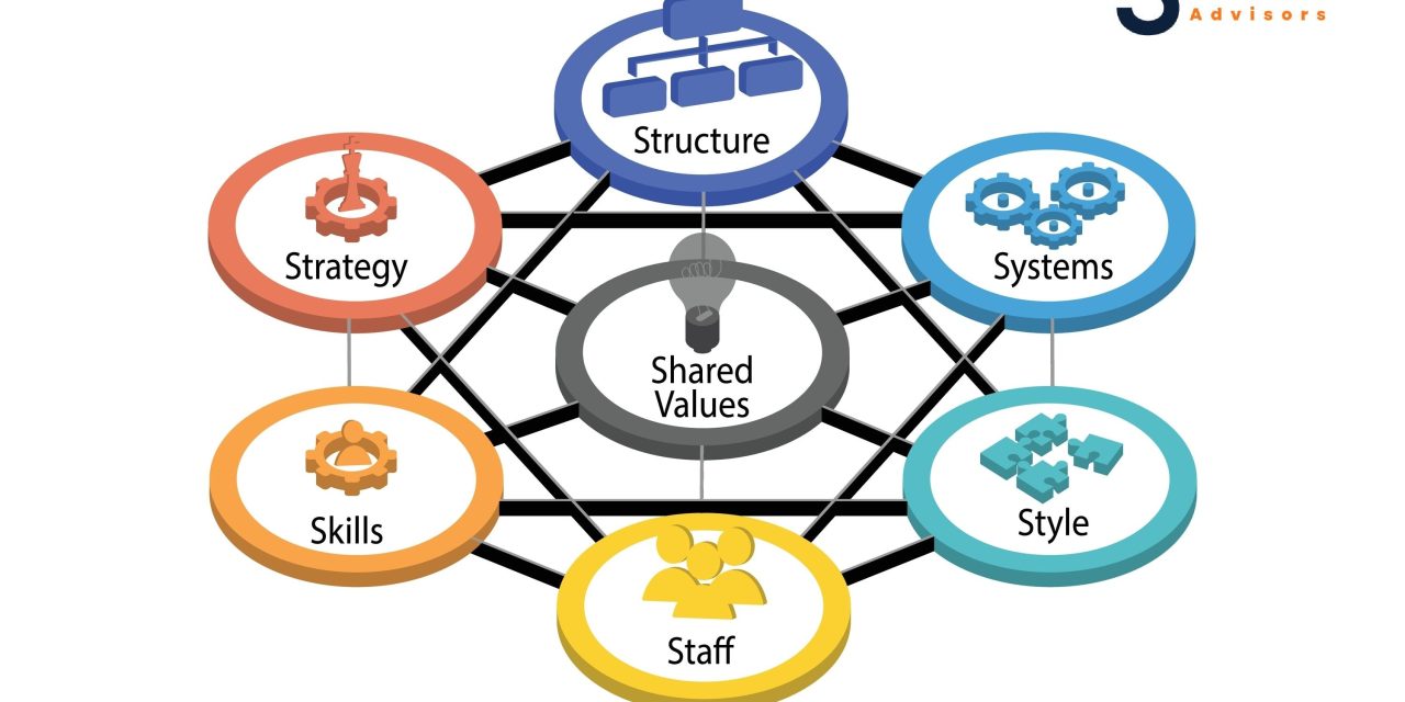 Unveiling the Organizational Elements Model (OEM): A Pathway to Enhanced Performance and Growth