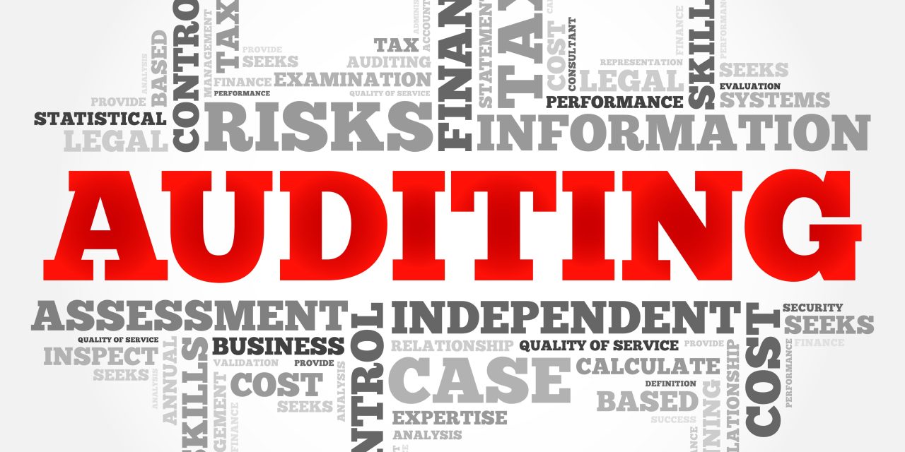 Audit and Assurance: Best Practices for the 21st Century