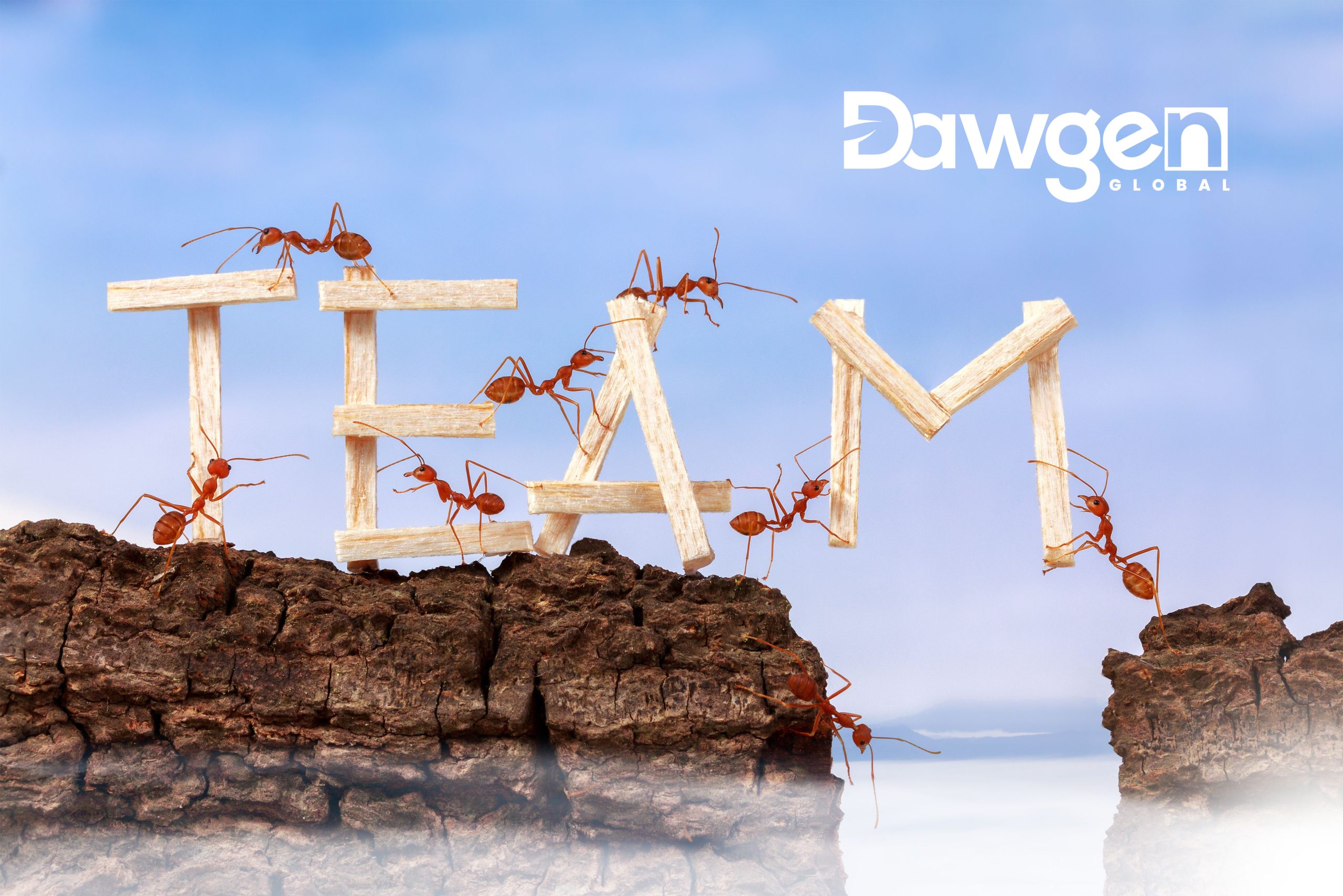 The Art of Team Building: A Journey from Group Dynamics to Effective Collaboration