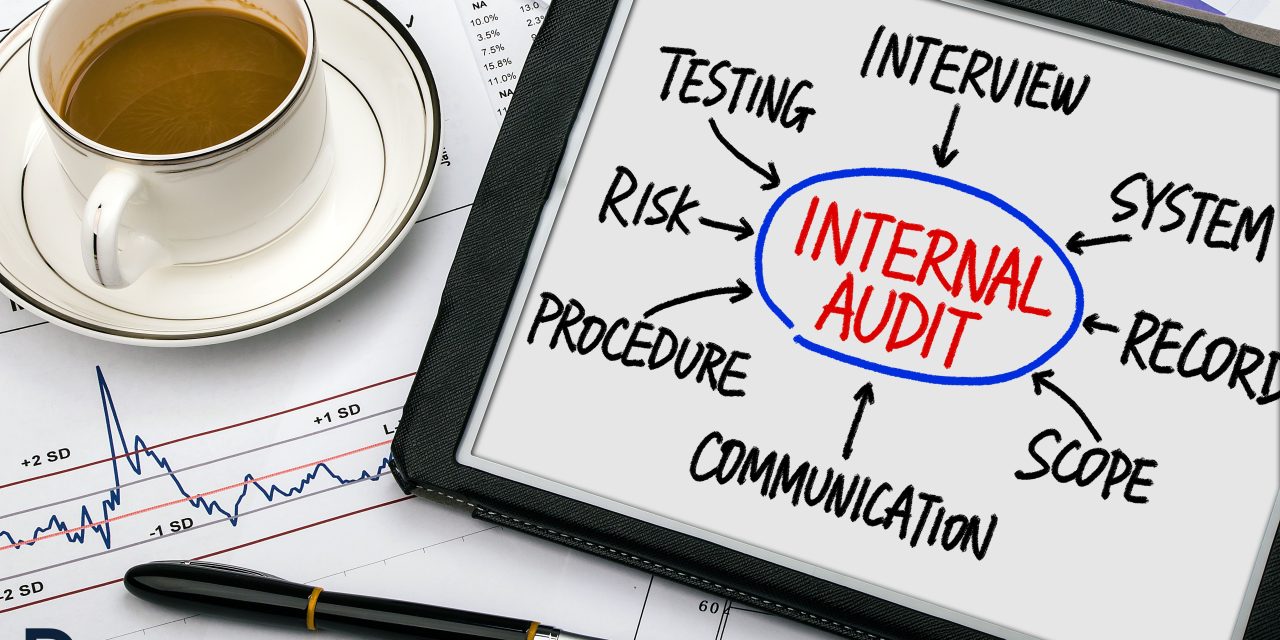 Cross-Border Auditing: Enhancing Internal Audit Practices for Caribbean Multinationals