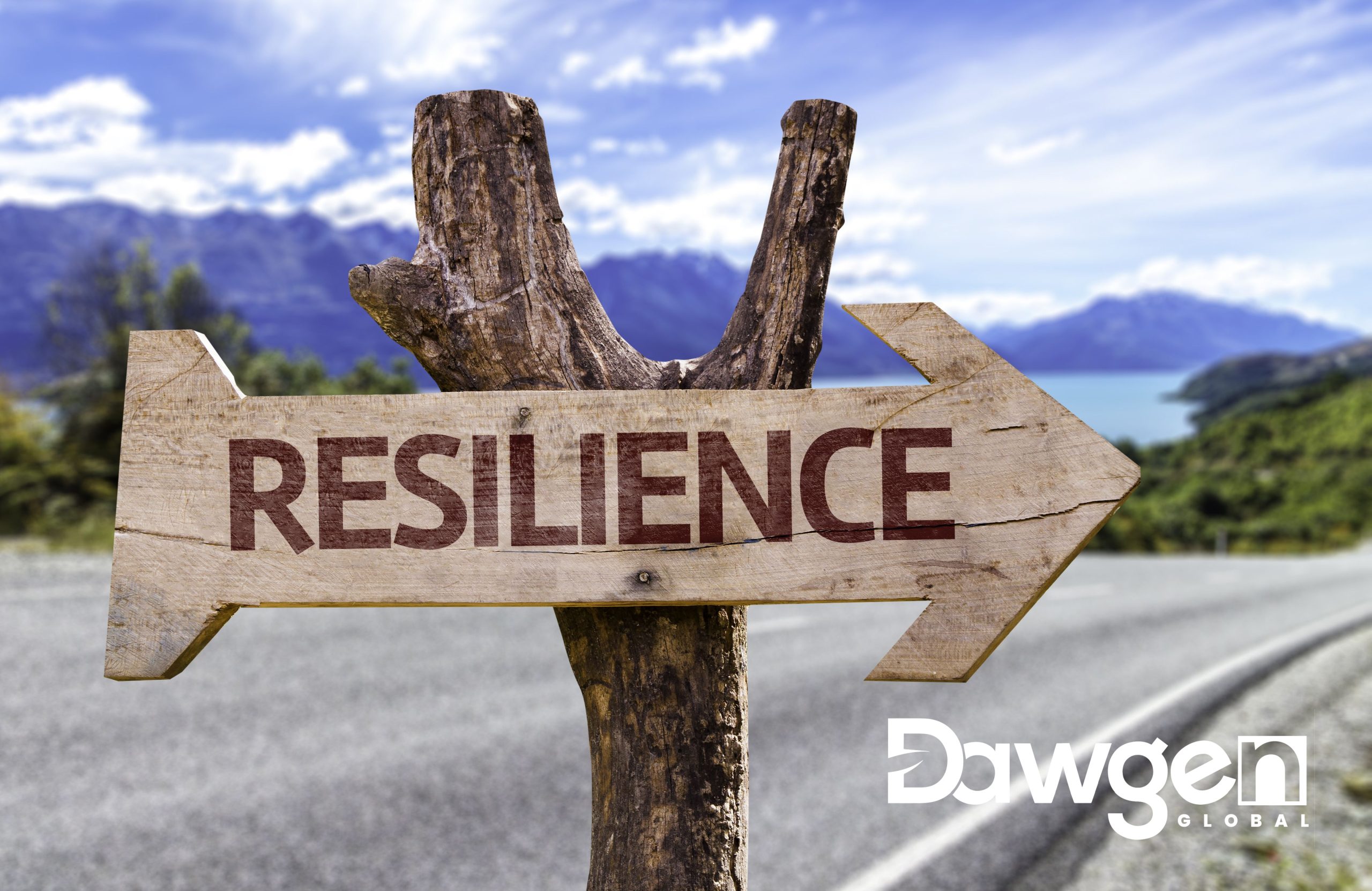 Building Financial Resilience: Insights from Auditors and Accountants in Kingston