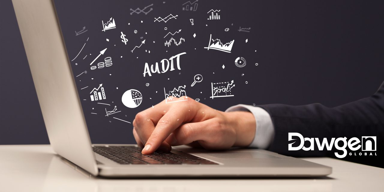 The Future of Auditing: Embracing Digital Solutions for Enhanced Efficiency, Effectiveness, and Economic Gains