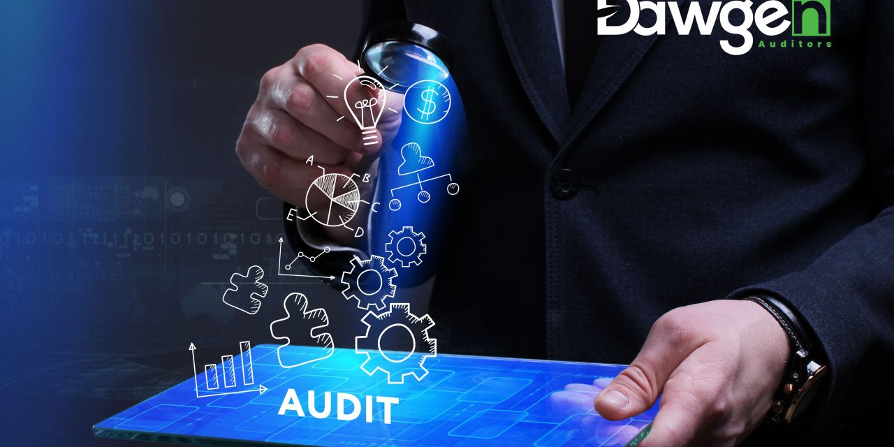 Comprehensive Planning and Risk Assessment in Dawgen Global’s Audit Methodology