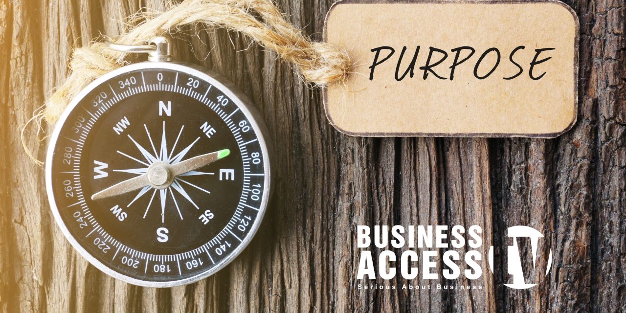 Unleashing Purpose: A Strategic Guide for Organizations