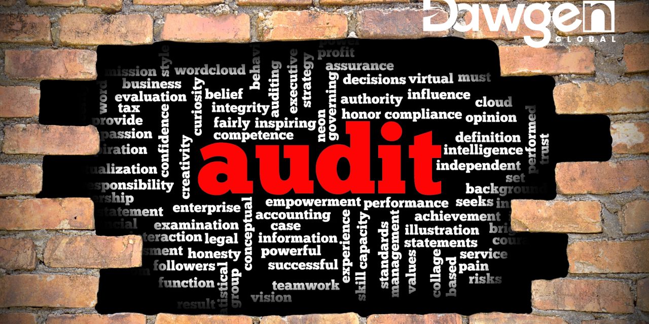 The Critical Role of Audit in Building a Fair and Prosperous World